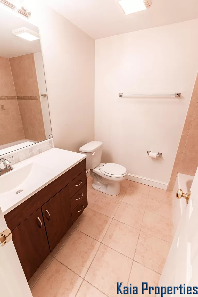 11017 Marcliff Road, Rockville, MD 20852 - Lower Level Bathroom